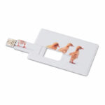 USB a Carta di Credito 4 GB