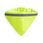 Collare Bandana
Bipols - immagine 2