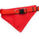 Collare Bandana
Roco - immagine 4