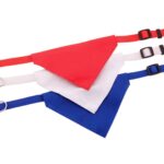 Collare Bandana
Roco - immagine 5