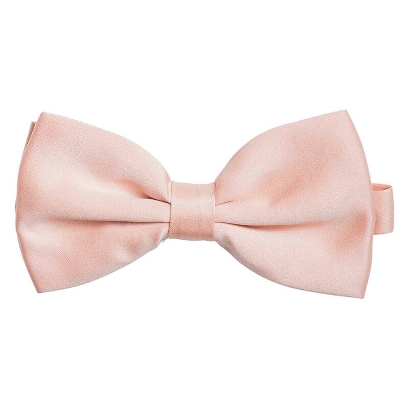 Papillon per cameriere. - immagine 6