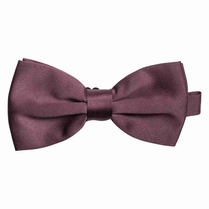Papillon per cameriere. - immagine 4