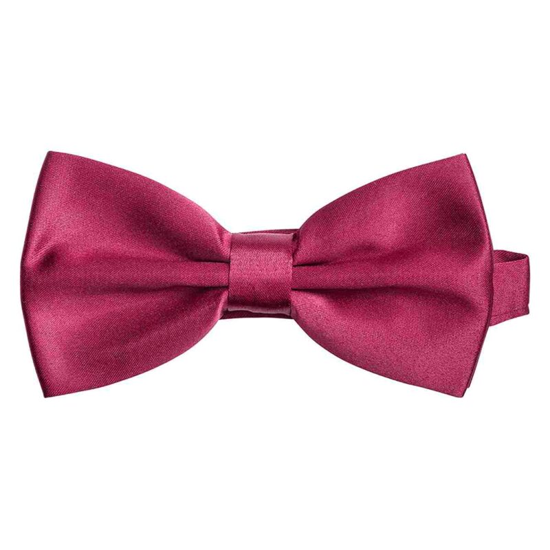 Papillon per cameriere. - immagine 2