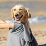 Asciugamano per Animali
Yelyn - immagine 7