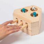Gioco per Animali
Kesel - immagine 7