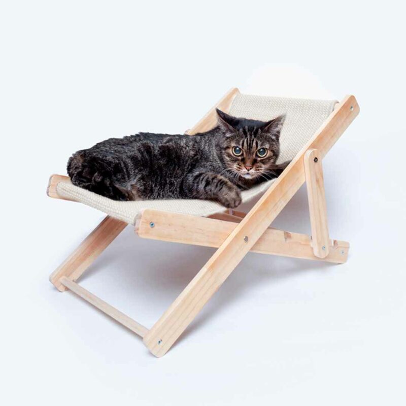Sedia per Animali
Diny - immagine 5