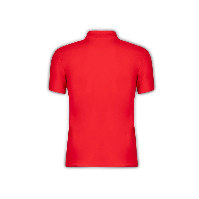 Polo Adulto Colore
Original - immagine 3