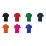 Polo
Bartel Color