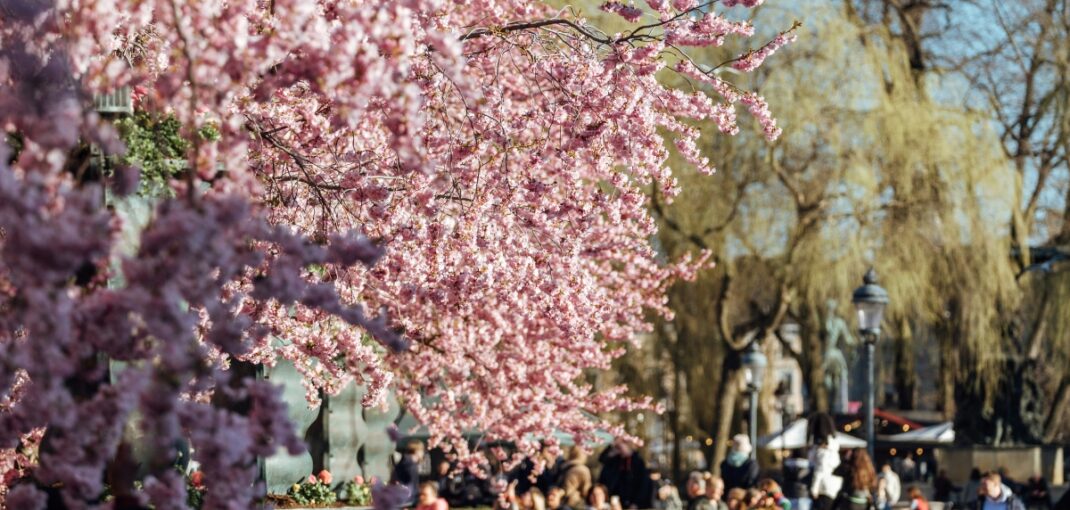 5 idee gadget per aziende in primavera - GadgetGo