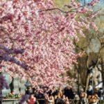 5 idee gadget per aziende in primavera - GadgetGo
