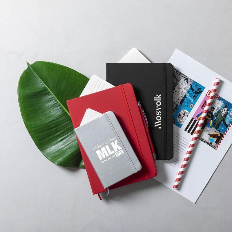 Block Notes
Robin - immagine 5